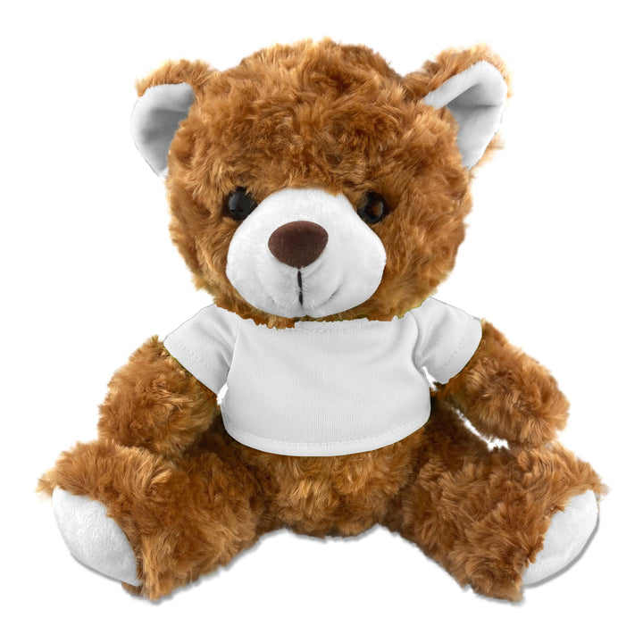 Teddy Bear Plush (MOQ 50 x items)
