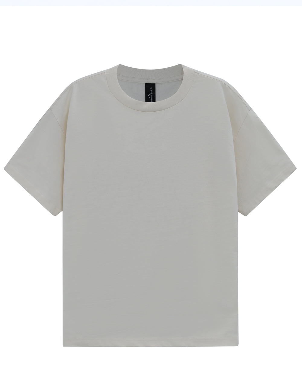 TS50 Unisex Heavy Cotton Oversized Tee