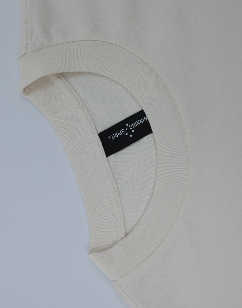 TS50 Unisex Heavy Cotton Oversized Tee