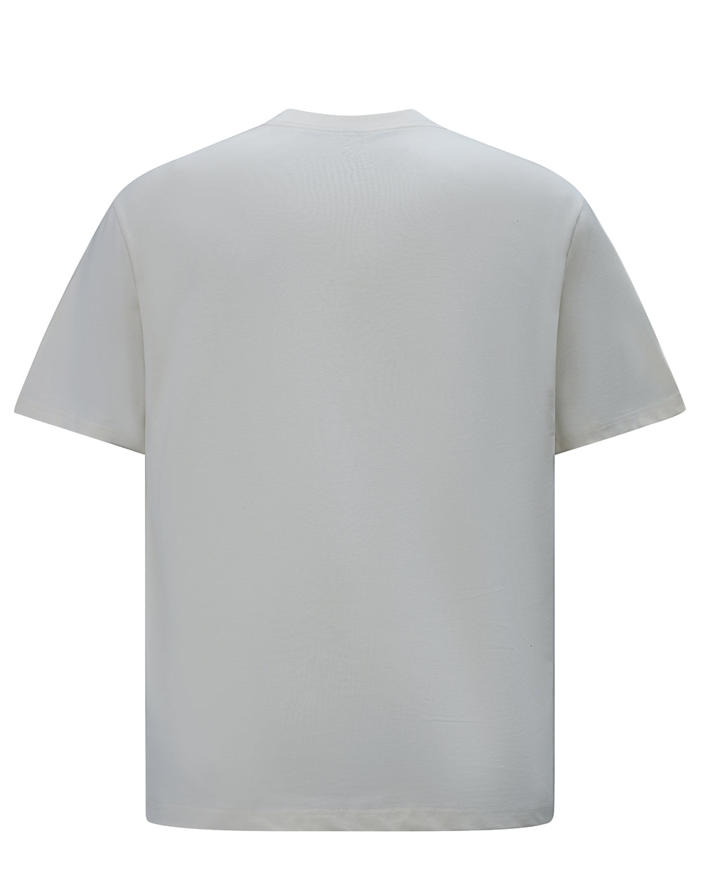 TS50 Unisex Heavy Cotton Oversized Tee