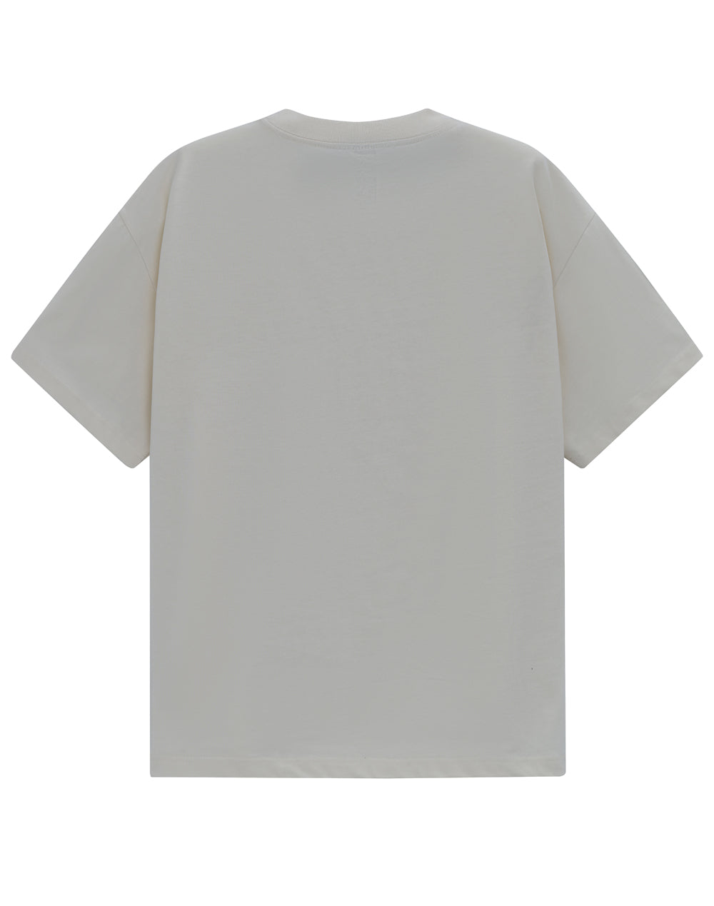 TS50 Unisex Heavy Cotton Oversized Tee