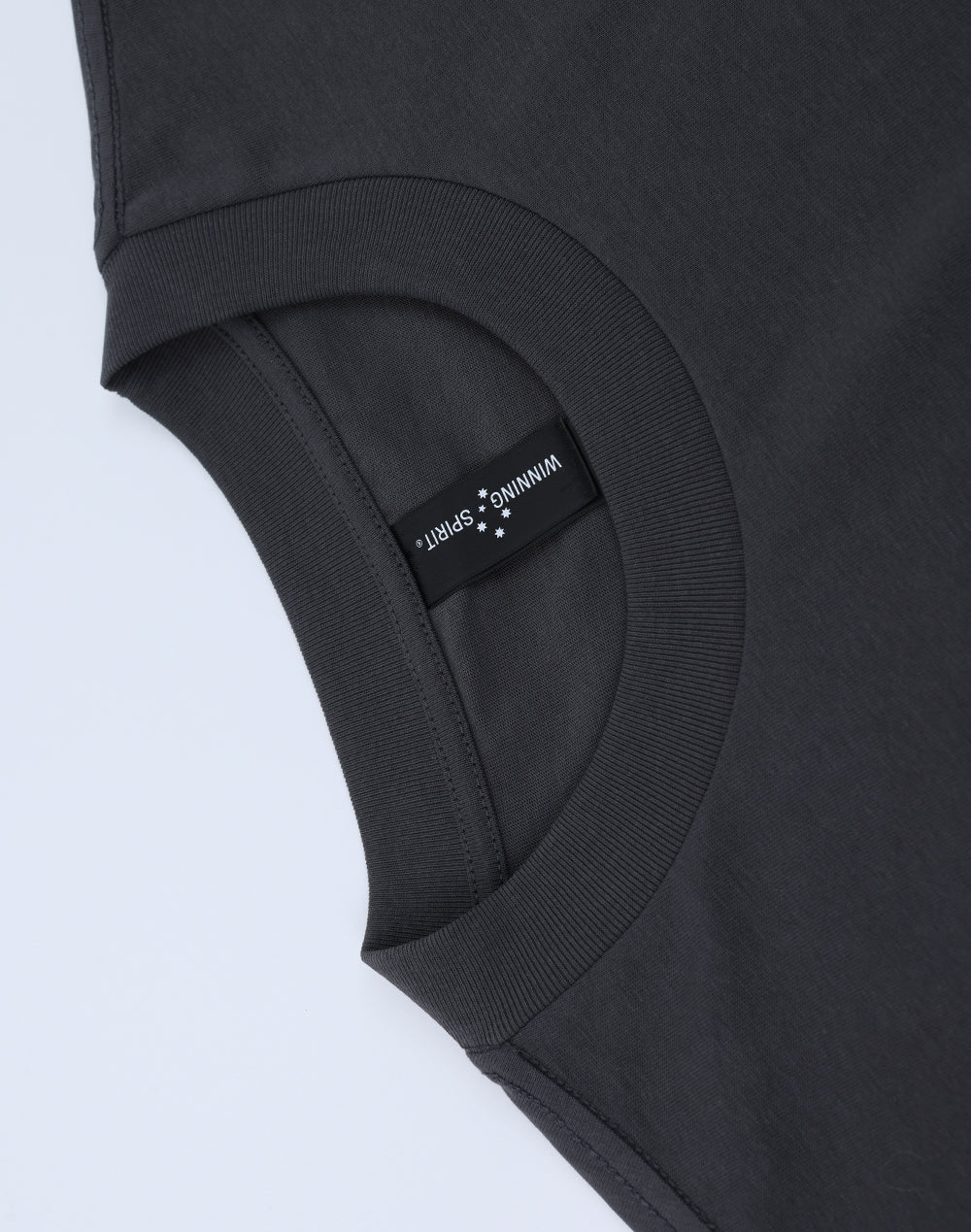 TS50 Unisex Heavy Cotton Oversized Tee