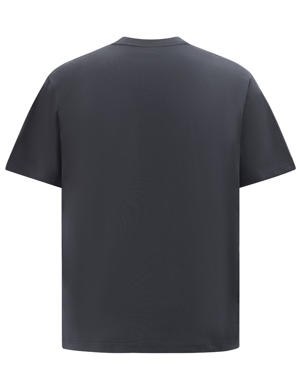 TS50 Unisex Heavy Cotton Oversized Tee