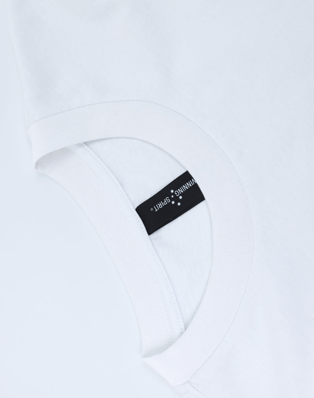 TS50 Unisex Heavy Cotton Oversized Tee