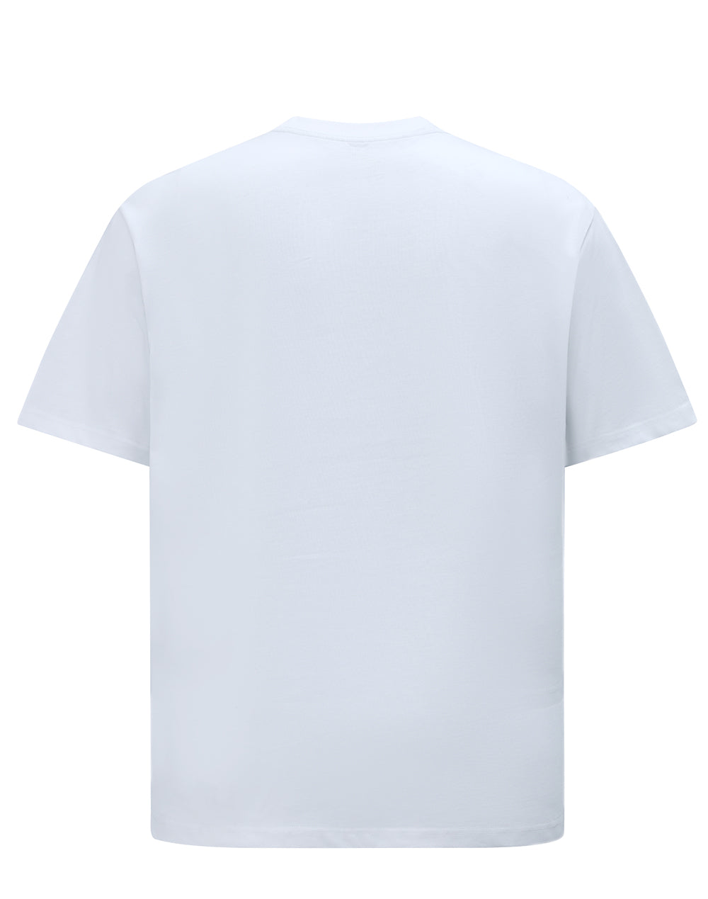 TS50 Unisex Heavy Cotton Oversized Tee
